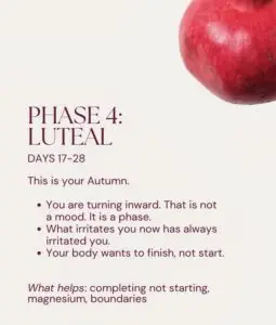 Luteal phase