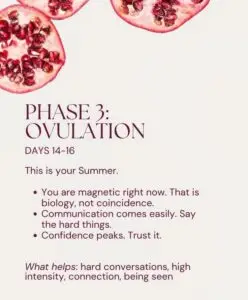 Ovulation phase